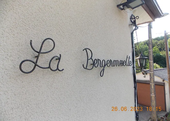 La Bergeronnette Le Buisson