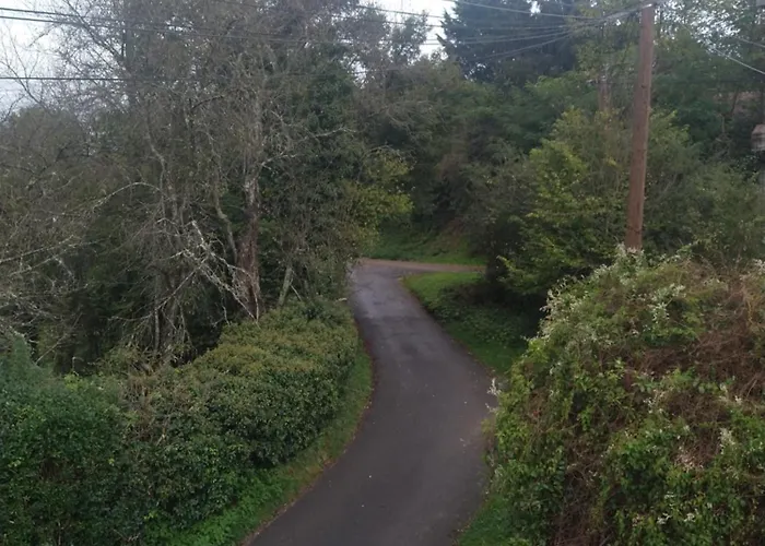 La Bergeronnette Le Buisson