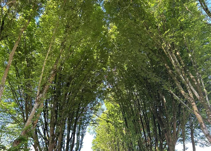 Songe de Clarté