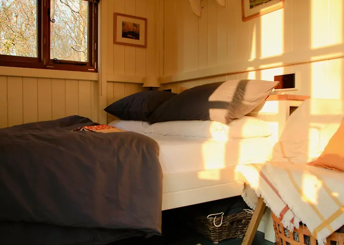 Peatlands Retreat, Causeway Coast