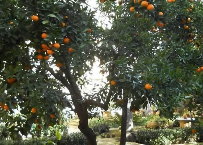B&B L'Orangerie D'Epoque