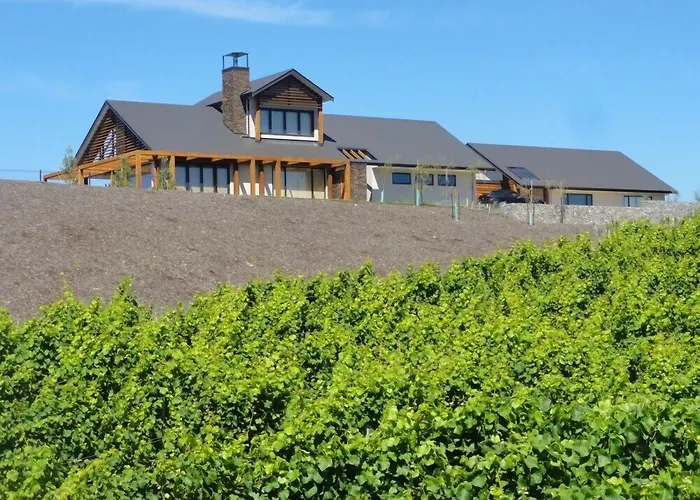 Pine Hill Lodge In Vineyard
