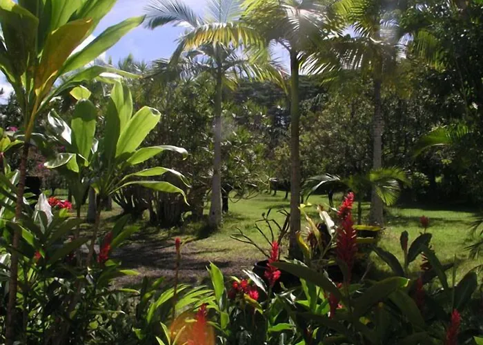 Lava Tree Tropic Inn