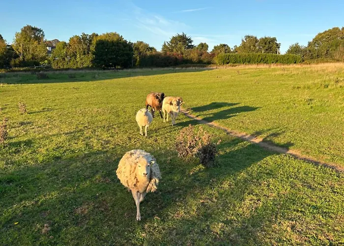 Songe de Clarté
