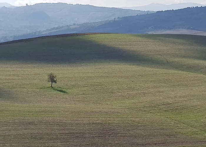 B&B Il Glicine