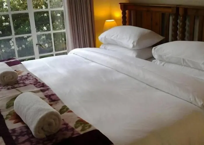 Bancroft B&B
