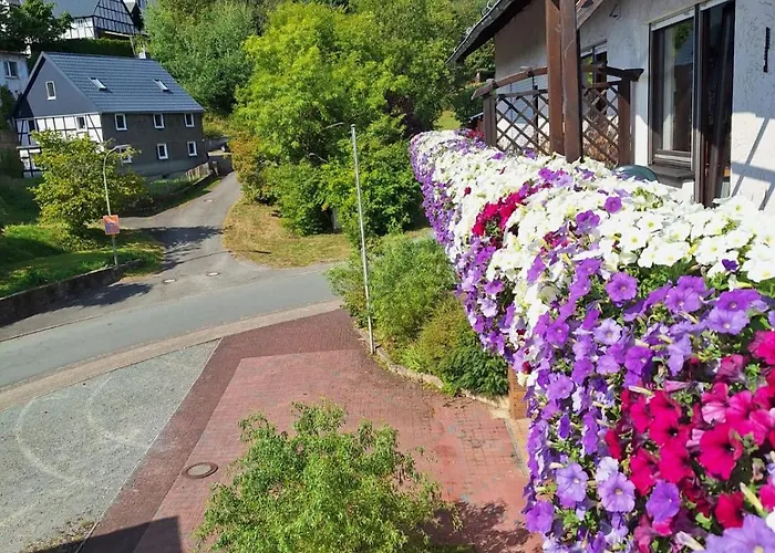 Waldhof Hochsauerland B&B