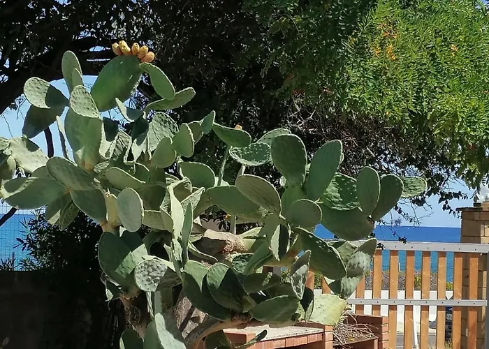 B&B Altamarea