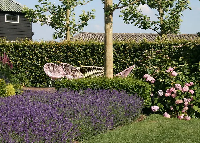 Boutique Hotel Villa Oldenhoff