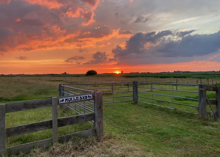 Bnb Purmerland