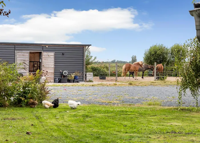 Bnb Purmerland