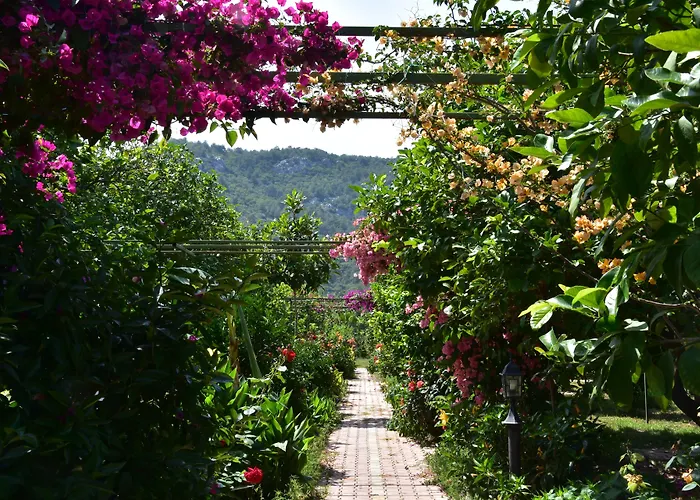 Lemon Garden Lodge