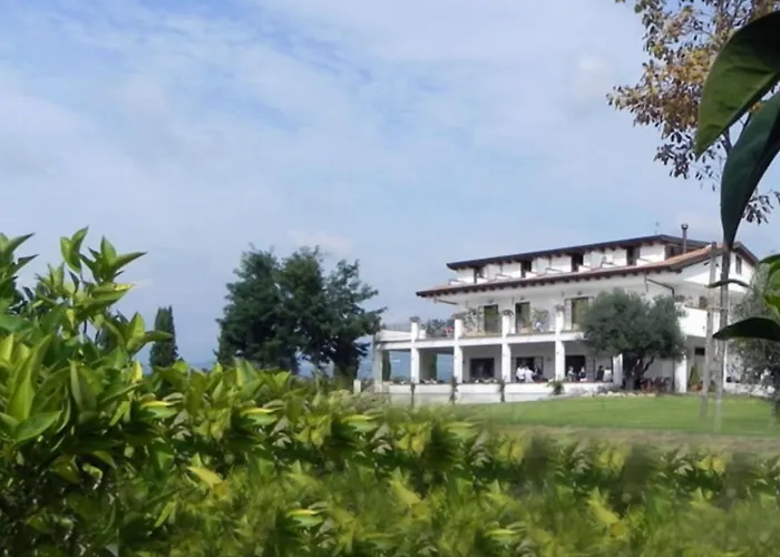 B&B Radici24