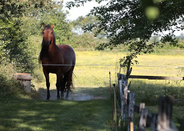 Relais de Chasse la Chaignaie