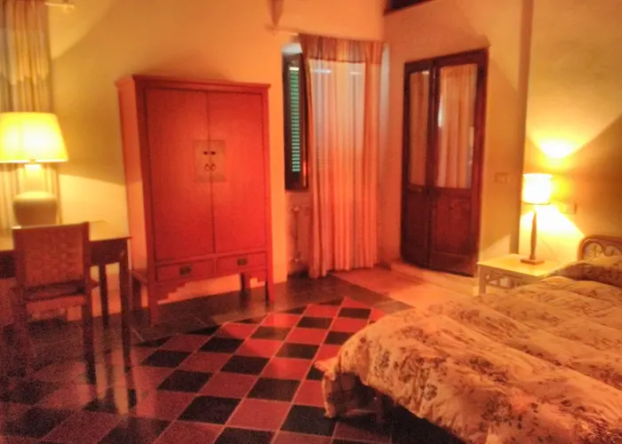 L'Asino Vola