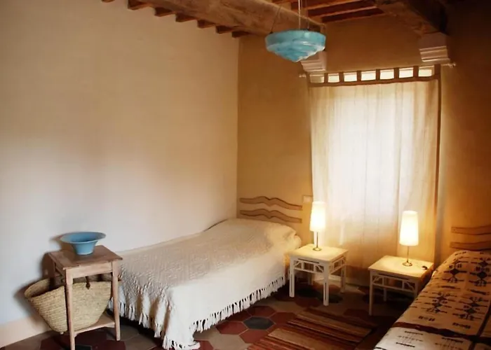 L'Asino Vola