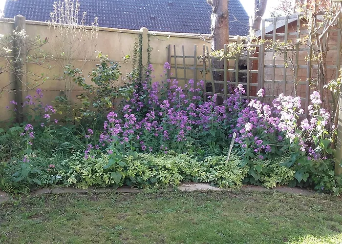 Chambres Du Jardin Fleuri