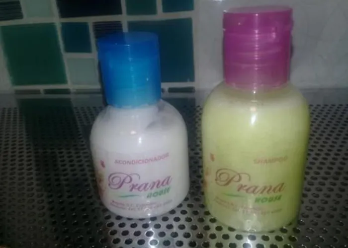 Prana House