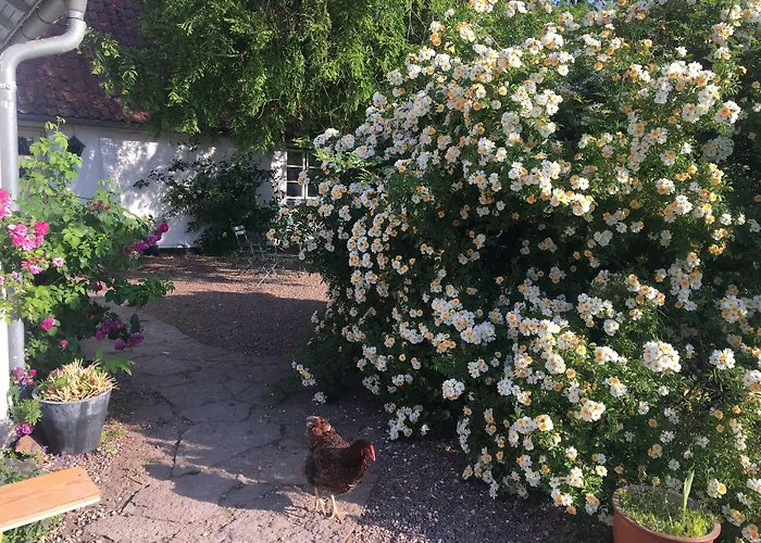 Horhaven B&B