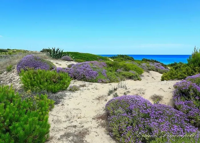 B&B Lo Scrigno del Salento