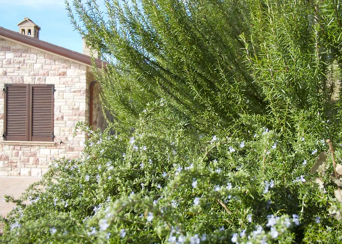 B&B Lavanda E Rosmarino