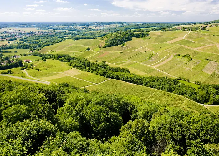 Maison d'hôtes&SPA La Scierie