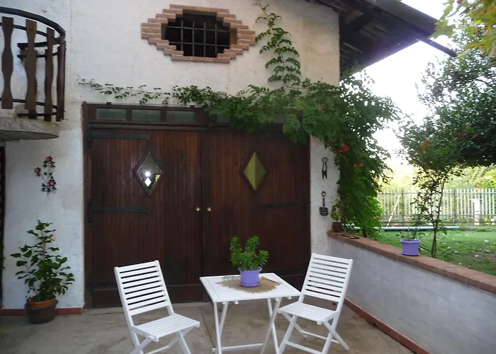 B&B Selisa