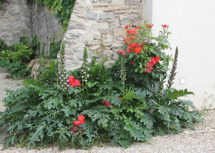La Rôse