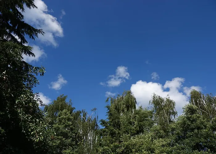 Le Grand Jardin