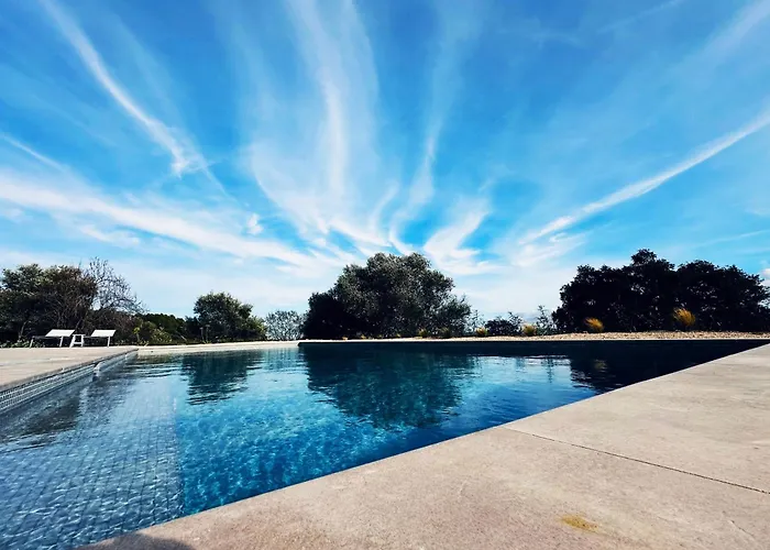Mimosa Lodge