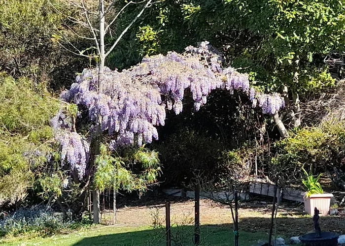 Waterview Gardens B&B