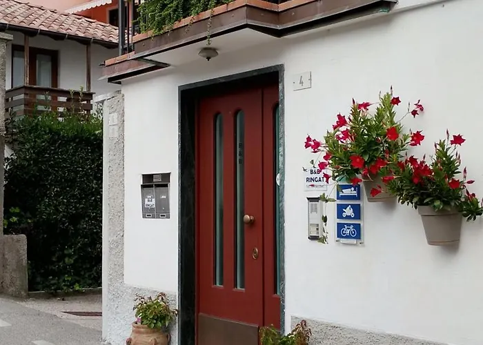 B&B Ringat
