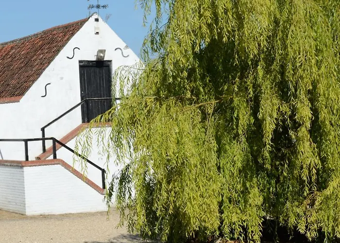 Willow Tree Farm