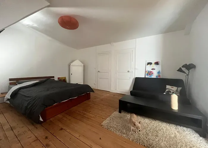 Appartements des Halles - Chambres d'Hôtes