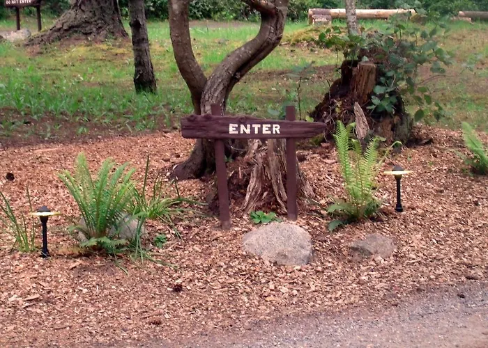 Inn To The Woods