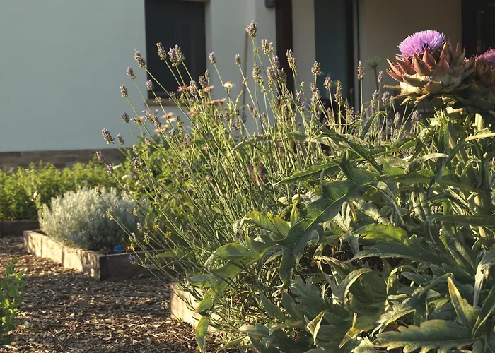 Agriturismo Scala - Eco Boutique B&B In Le Marche