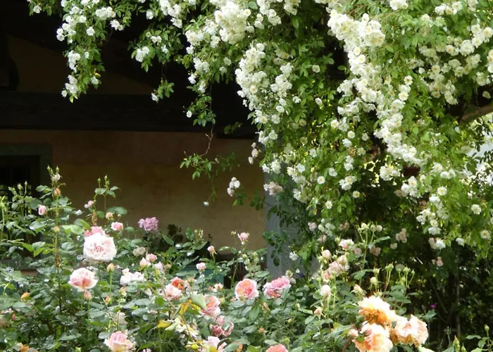 Rosedeliziose B&B Baldissero Canavese