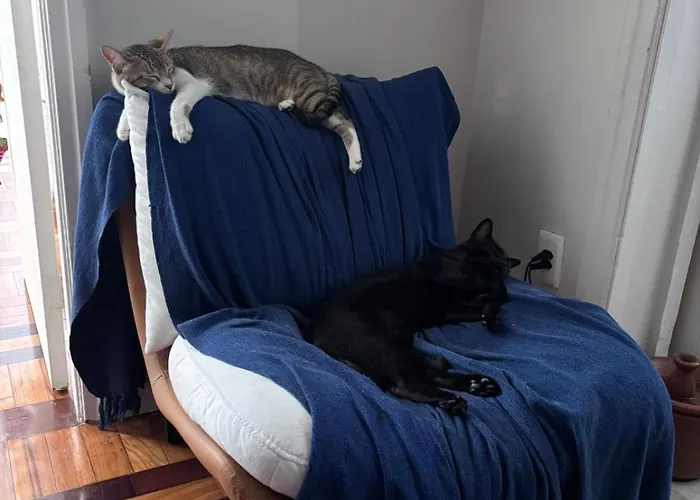 Quarto Em Apartamento Compartilhado Em Copacabana
