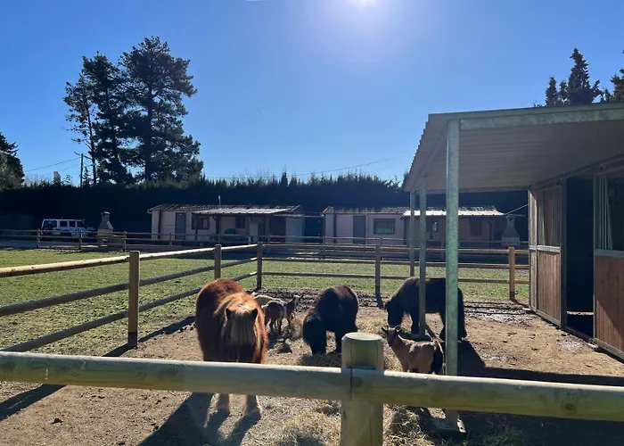 Rancho Catalan 2