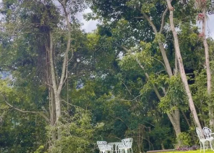 Alma GuestHouse