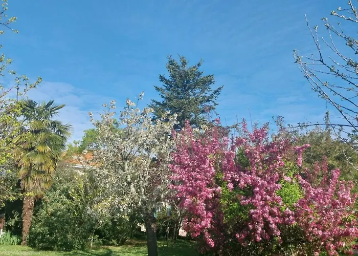 Chambre d’hôtes des tourterelles