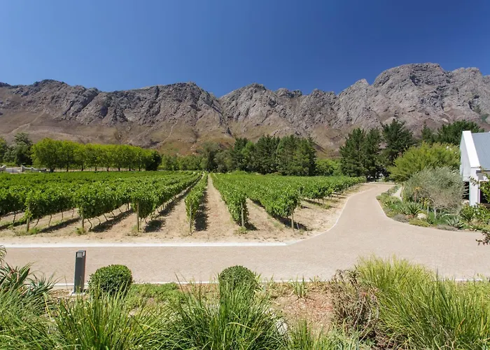 Chambray Estate - The Terraces In The Vines