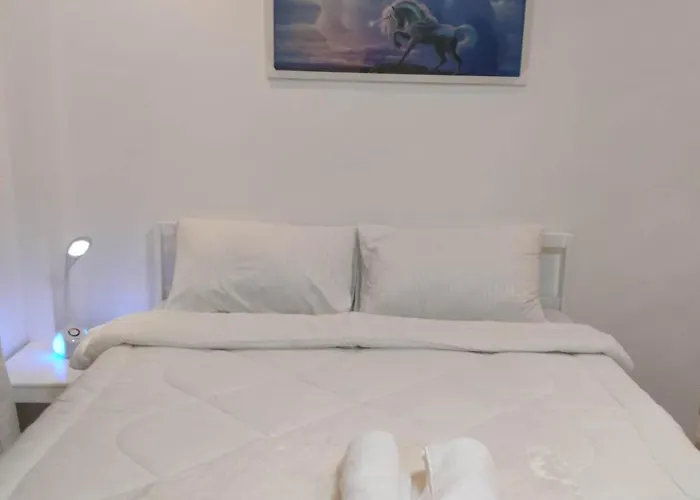 Zoobic Glampz