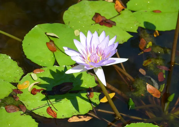 Primer Canto B&B - Near Ferry & Early Birdwatching Trails