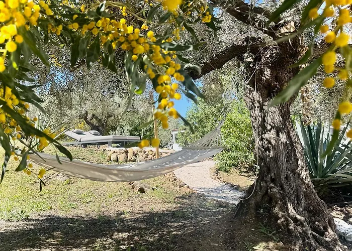 Vida Lenta Boutique Finca