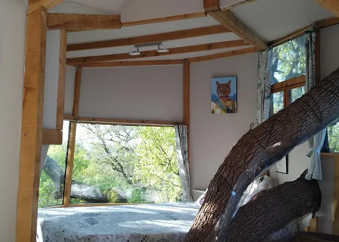 B&B La Cabane Insolite