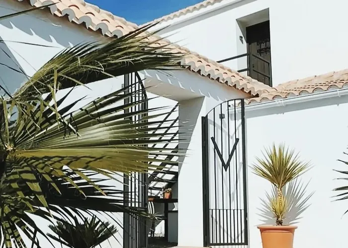 Finca Viva la Vida