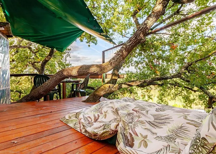 B&B La Cabane Insolite