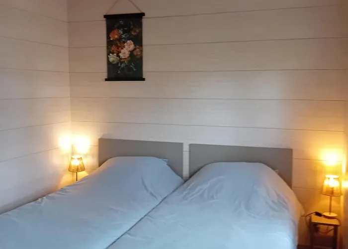 B&B Stripsein