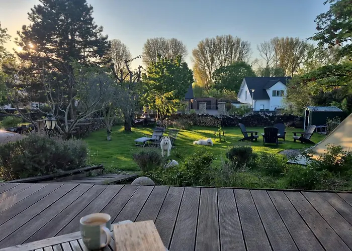 Schoenste Lage Am Rhein In Unmittelbarer Stadtnaehe, B & B